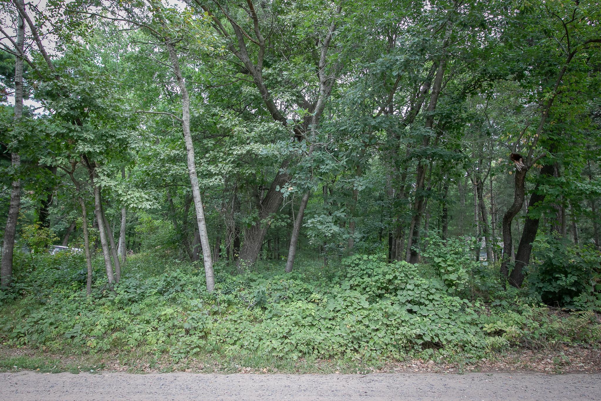Beautiful wooded lot located so close to Stacy!