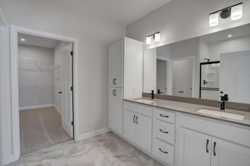 Owner's Bathroom - Representational Photo.jpg