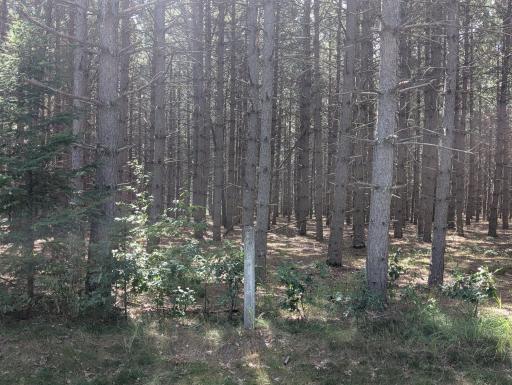 across road from lot