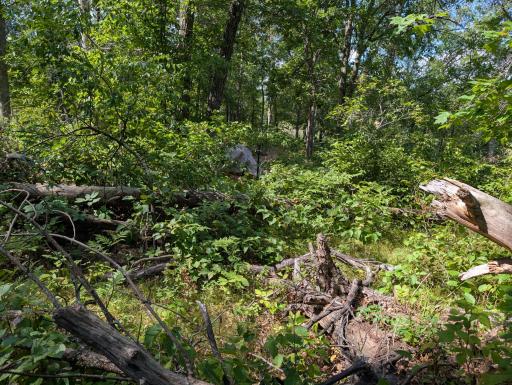 1.8 acres