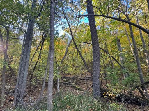 23314 450th Avenue, Aitkin, MN 56431