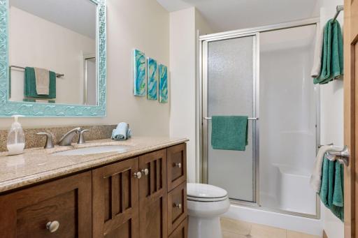Lower level bathroom.jpg