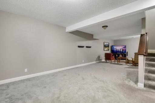 2147 Spring Lake Ct, Shakopee, MN 55379-60.jpg