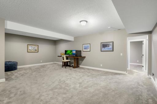 2147 Spring Lake Ct, Shakopee, MN 55379-66.jpg