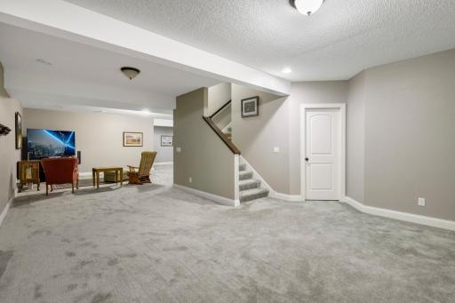 2147 Spring Lake Ct, Shakopee, MN 55379-58.jpg