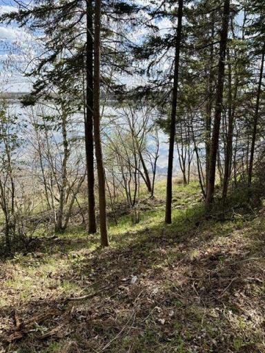 your walk down to the lake is easily accessible