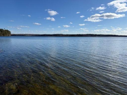 825 acre lake with 16' of clarity