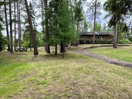 Big Yard, Big Trees!!