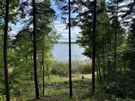 37222 N Courage Dr (Lot 5), Lake George, MN 56458