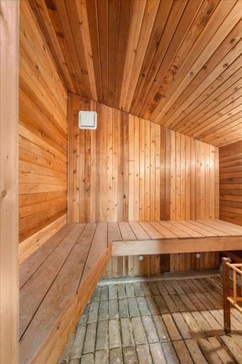 Bonus - sauna space!