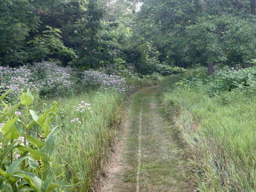 Trail