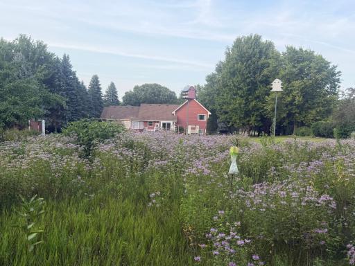 Prarie