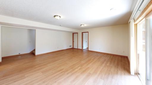 Lower Level Family Room