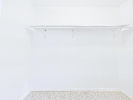 Bedroom #3 walk-in closet
