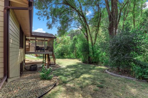 Shade trees give much needed summer shade