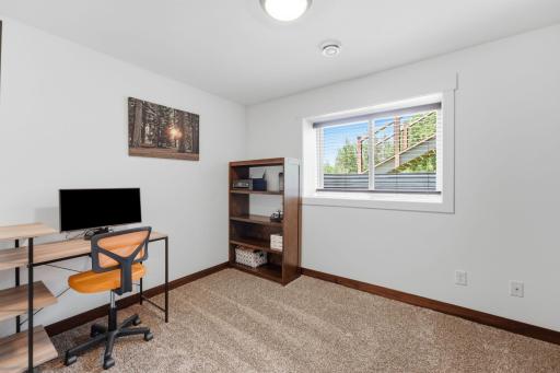 Lower level Bedroom #4.