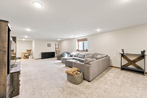 Lower Family Room