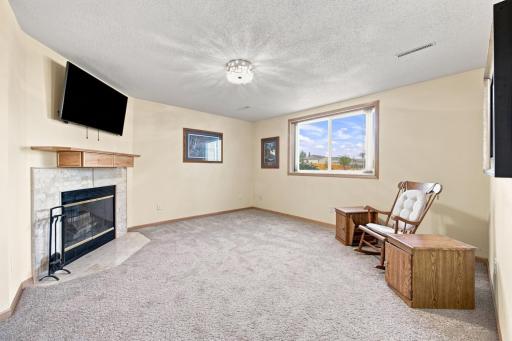 Lower level family room