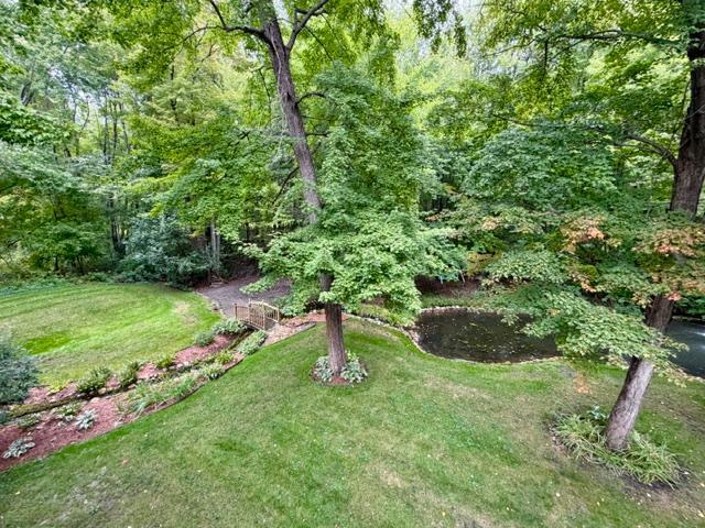 back yard 4.jpg