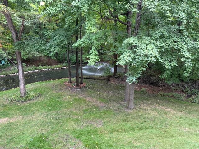 Back Yard.jpg