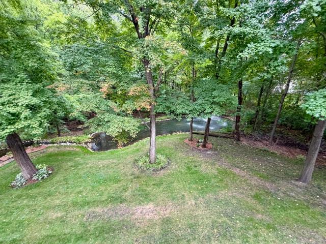 Back Yard 3.jpg