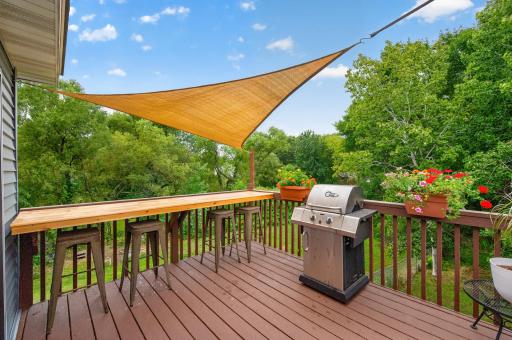 Grilling anyone?