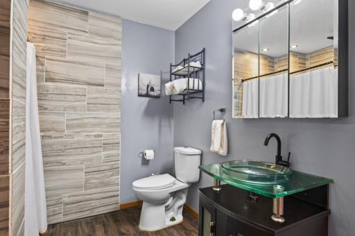 Lower level 3/4 bath