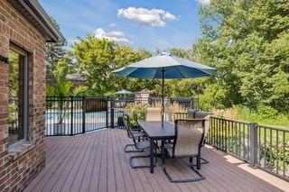 Pool and landscaping make this area a homeowners favorite!