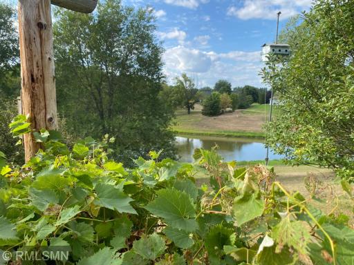 City Maintained Pond