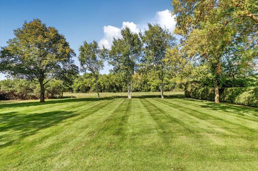 Check out this amazing backyard!