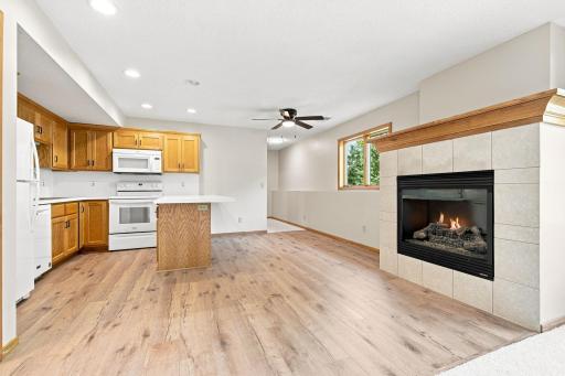 195 Medina St - Lower Level Great Room Features Gas Fireplace