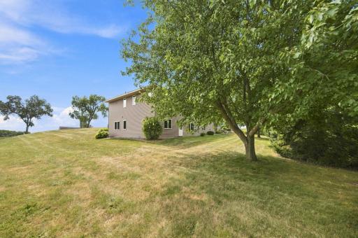 195 Medina St - Mature Trees