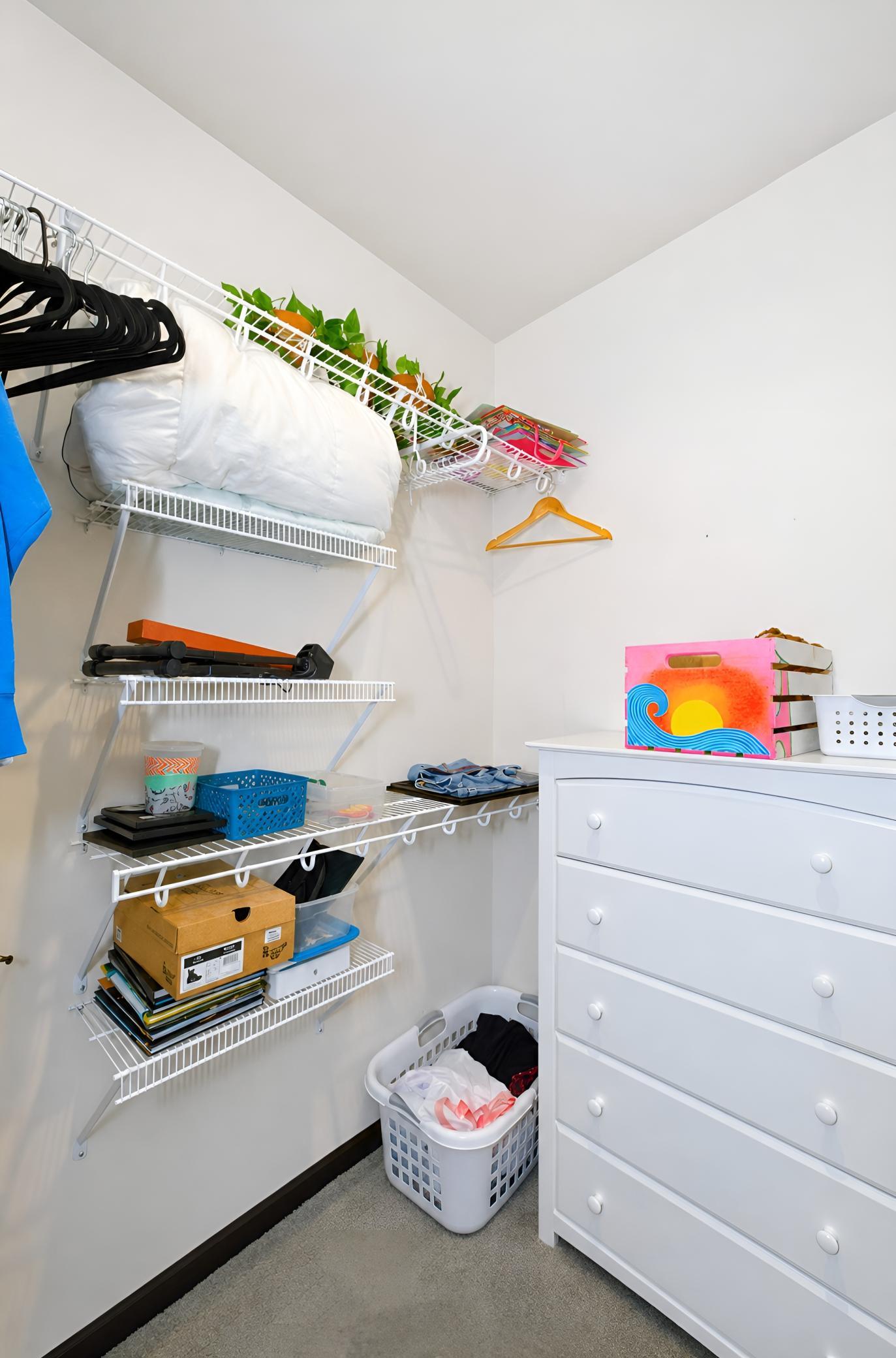 Bedroom 5 Closet