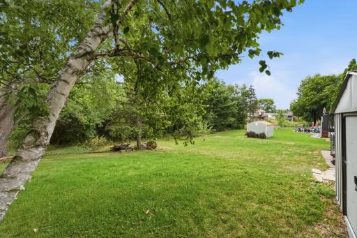 A Backyard With Endless Possibilities