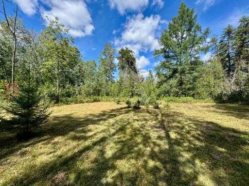 Photo for TBD River Forest Road, Roseau, MN 56751 - listing #7134978 TBD River Forest Road, Roseau, MN 56751
