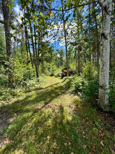 Trail/Access