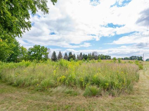 4165 LeSueur Avenue, New Prague, MN 56071