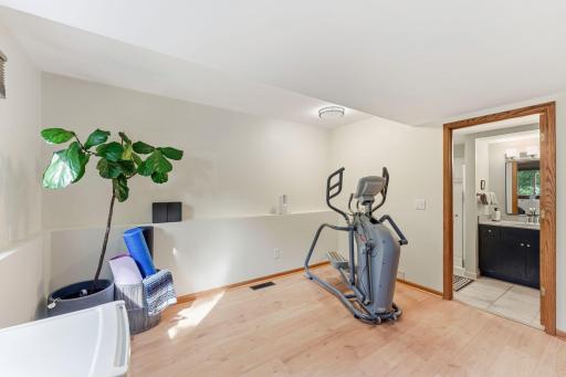 Lower Level Exercise / 4th Bedroom