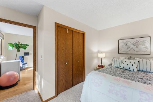 Lower Level Bedroom