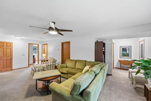 Lower Level Fireplace
