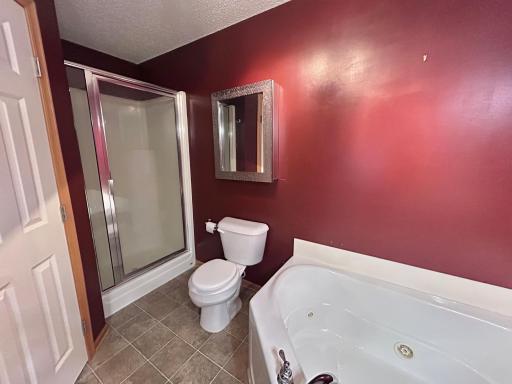 Primary bathroom view looking toward the shower.toward the shower