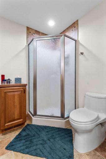 Primary bath walk-in shower