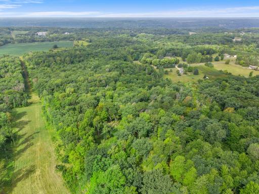 This can be your quiet wooded paradise