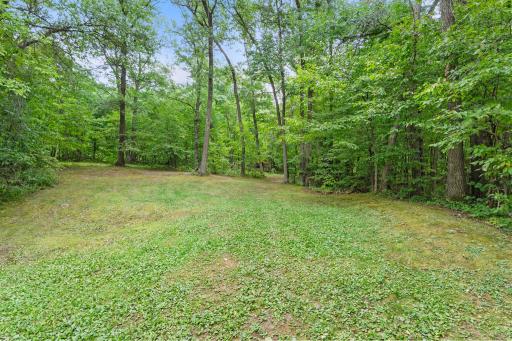 Expansive yard with trails through out the property