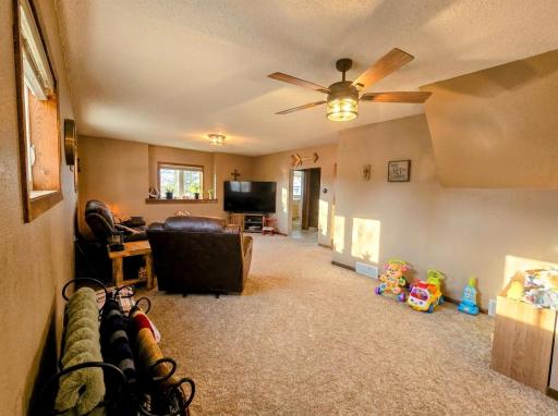 48635 600th Avenue, Fairfax, MN 55332