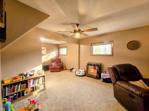 48635 600th Avenue, Fairfax, MN 55332