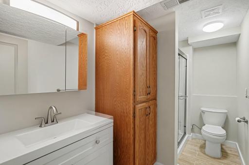 Lower Level Bath