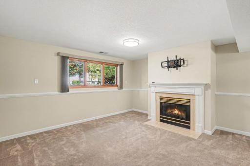 Lower Level Family Room