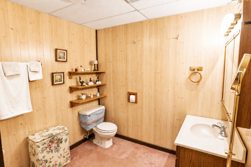 Lower level bathroom .png