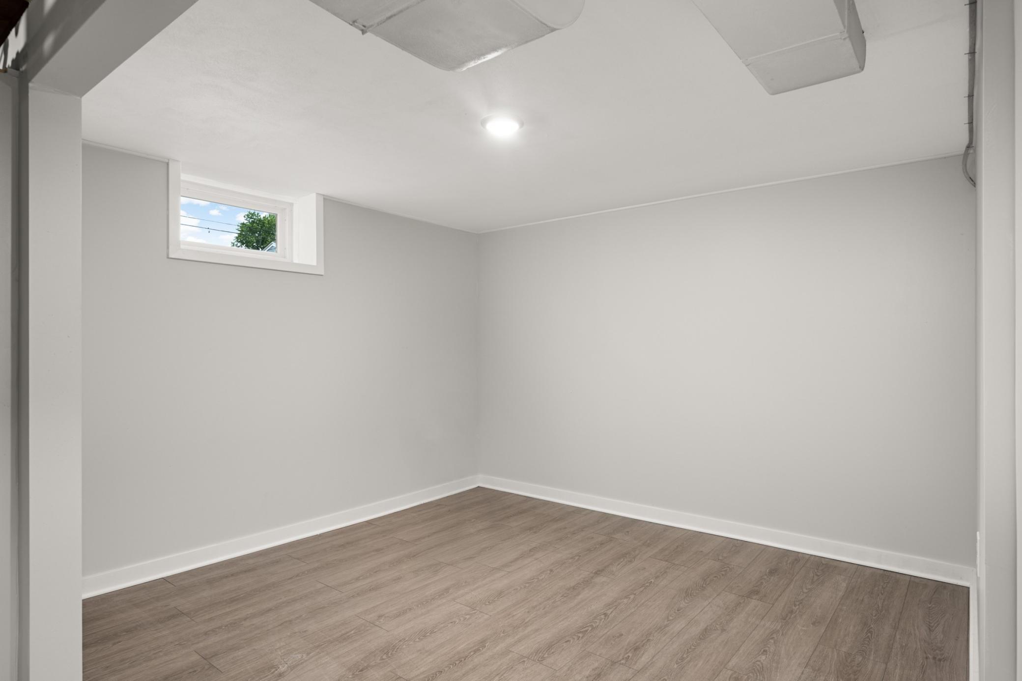Lower level flex room